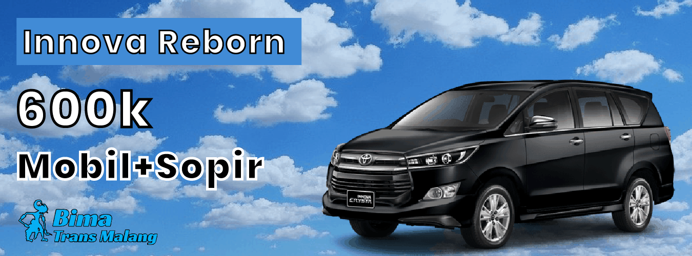 innova reborn 30